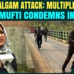 Youtube/@acebqualifica J&K Pahalgam Terror Attack on Tourists : PDP’s Iltija Mufti Says ‘My Head Hangs in Shame’ | Watch